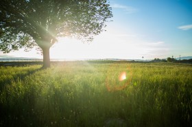 探索新航娱乐科技：创新与活力的融合，带来前所未有的娱乐体验